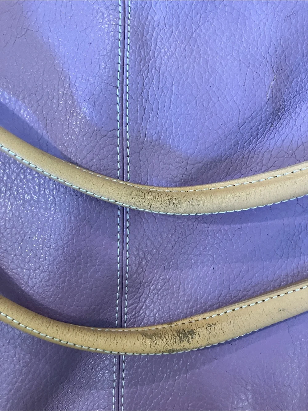 Maxx New York Lavender Hobo with Tan Trim